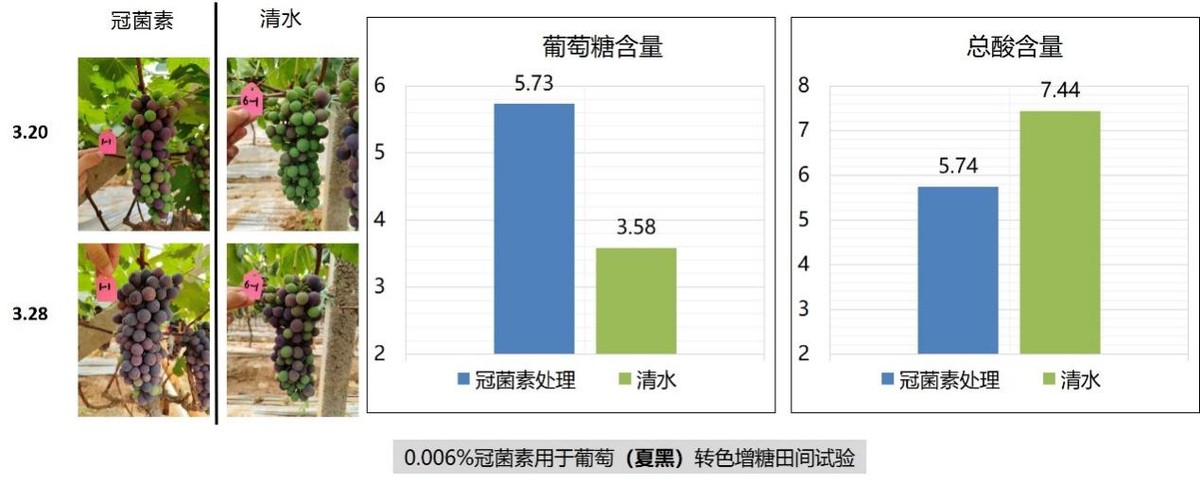 农资领域数十亿的转色增甜市场，谁是“青铜”谁是“王者”？
