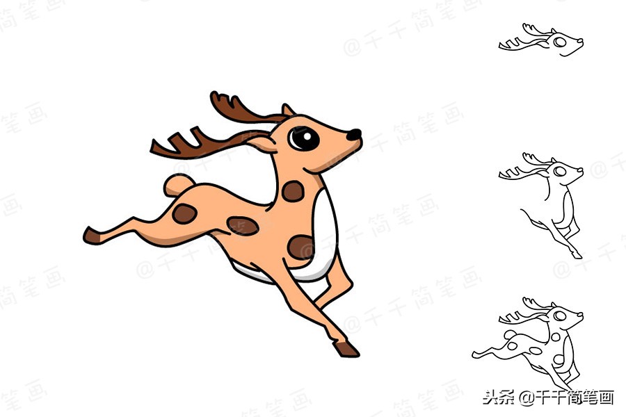 豹子乌龟简笔画,儿童画画8-10岁简笔画小动物
