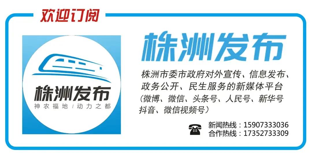 茶陵“养蜂达人”刘年花带动17户农民脱贫
