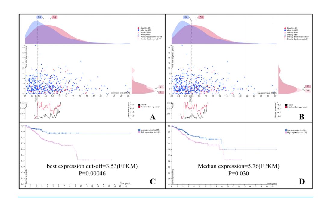 研究一个基因的方法有哪些,如何找到值得研究的基因