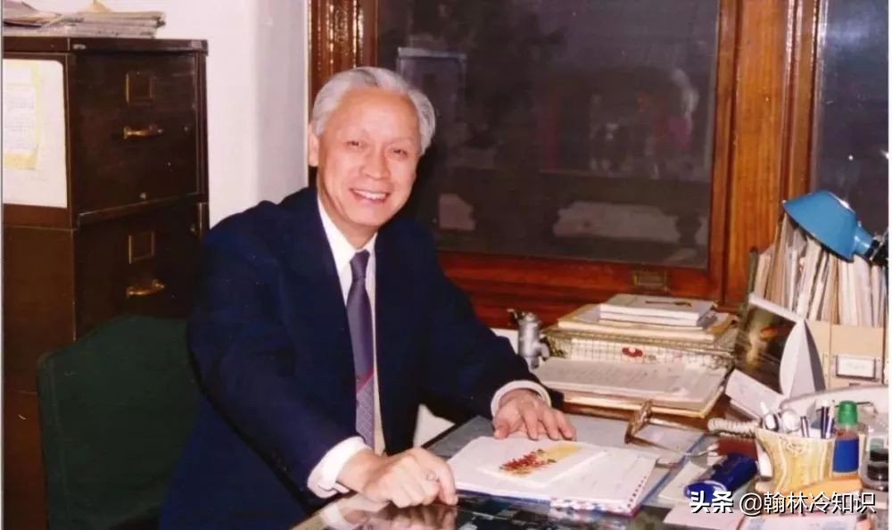 一位华人歌手，凭什么能够拿到联合国通行证