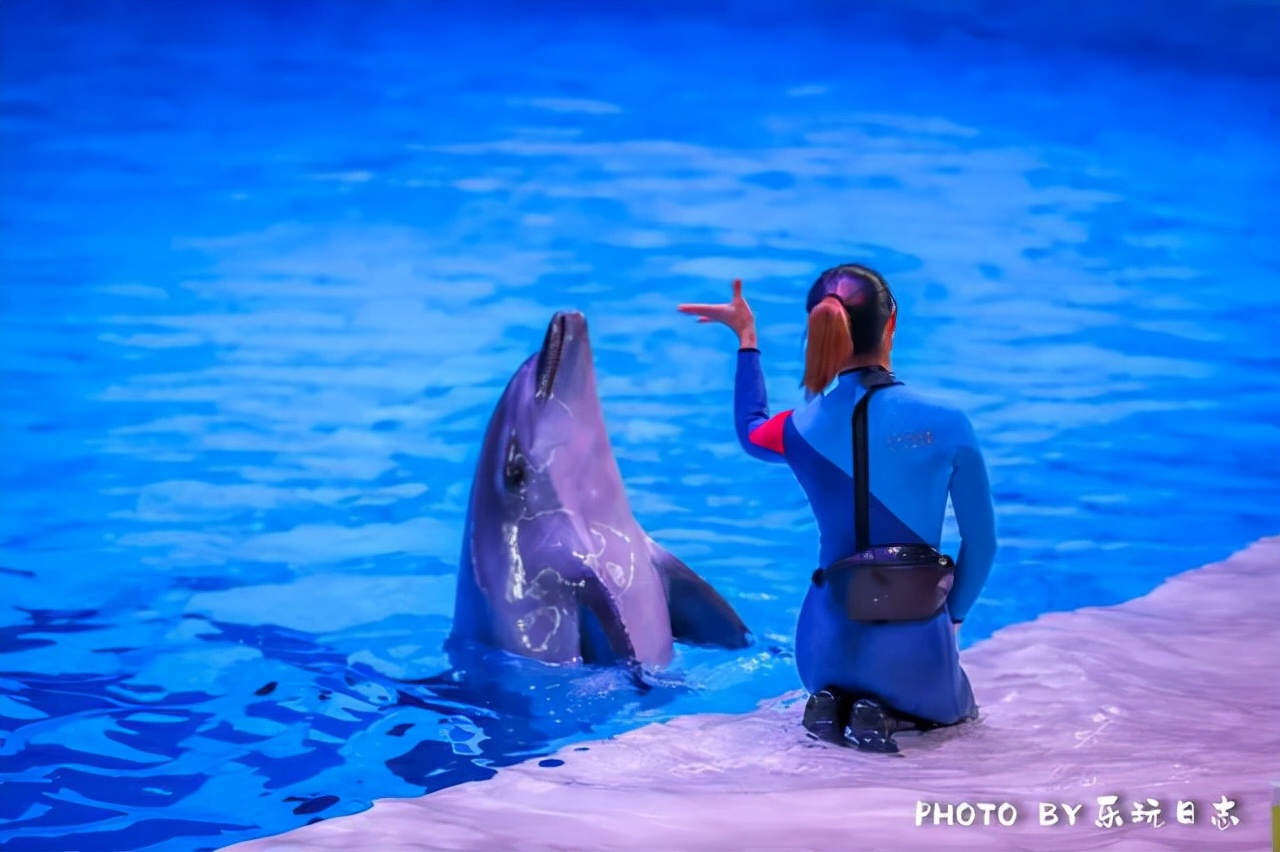 来珠海亲子必打卡景点，人工飘雪海洋动物表演，最合适周末亲子游