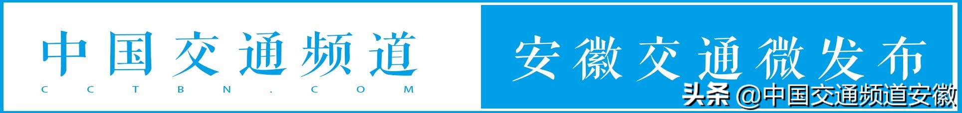 合肥发现的怪事,有一种黑鸟袭击人