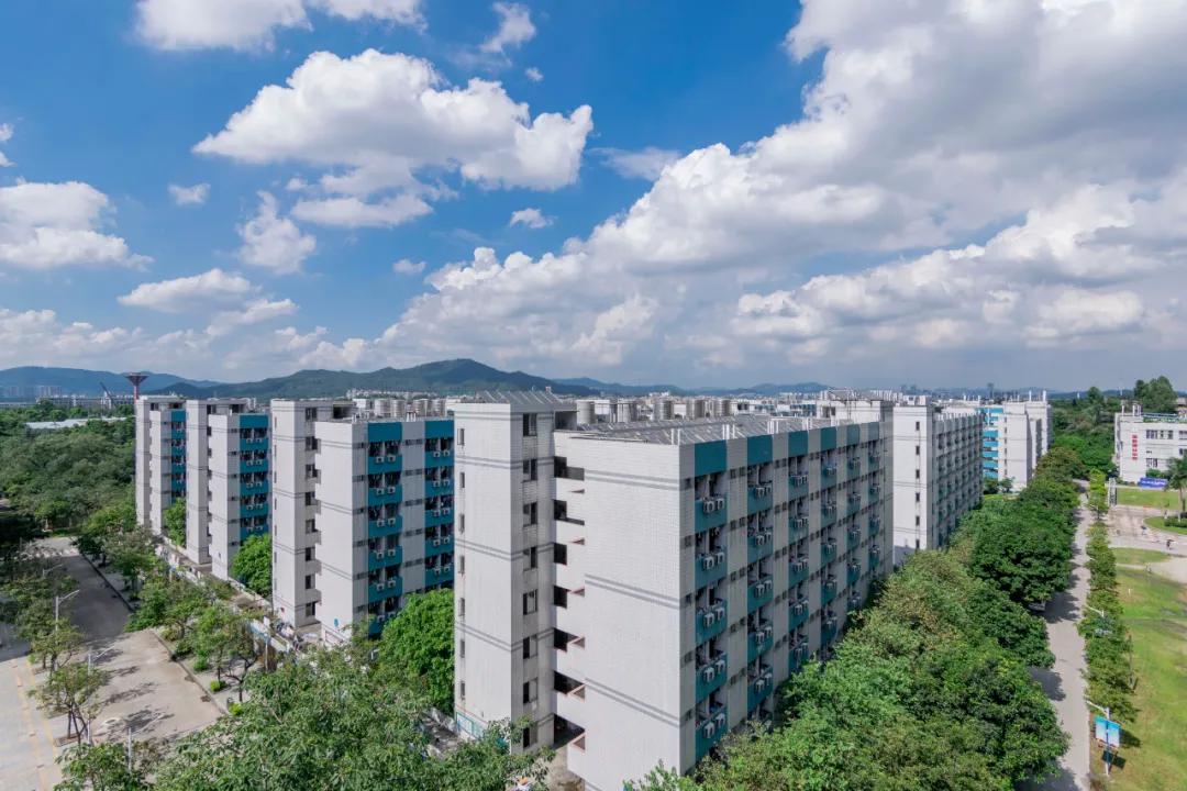 报考华南农业大学,华农报录比