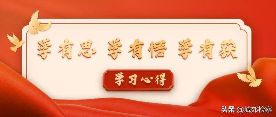 学有思学有悟学有获|武汉城郊院*党**史学习教育和队伍教育整顿学习心得（九）