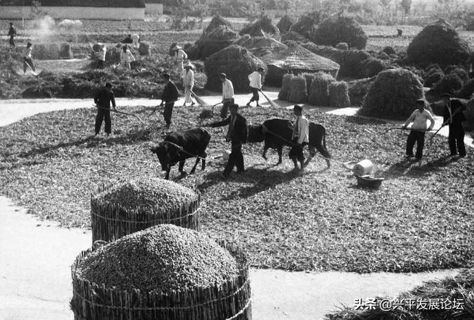 回忆过去珍惜现在展望未来,回忆过去珍惜现在的句子