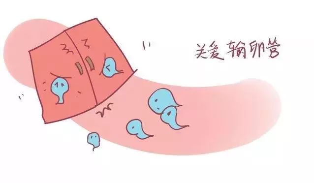 你该知道的妇科那些事,妇科疾病的小常识