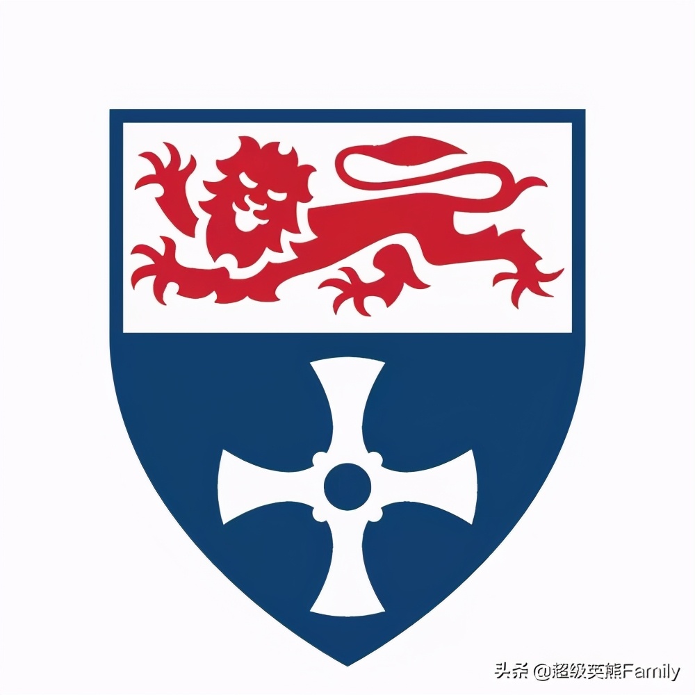 英国金史密斯学校怎么样,英国金史密斯学院纯艺术