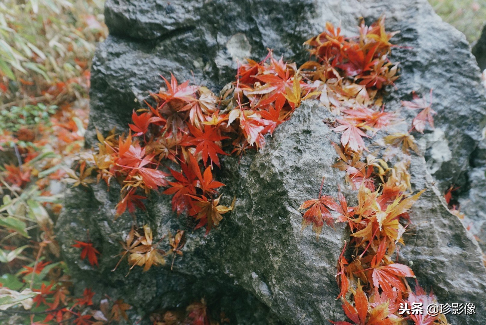 婺源紫阳镇熹园,婺源紫阳熹园