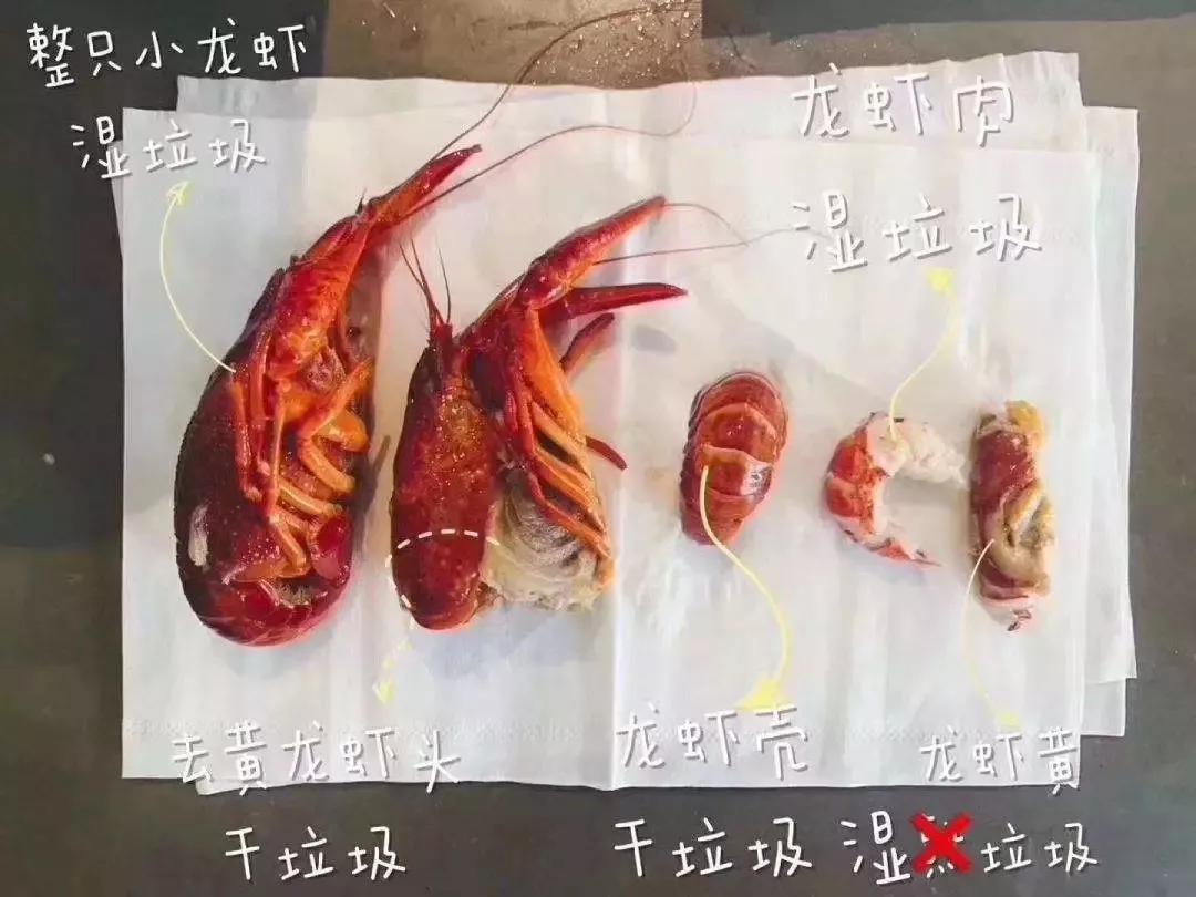 垃圾分类的灵感,垃圾分类创意艺术