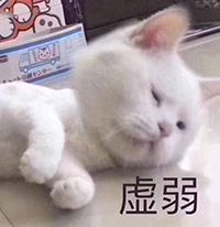 揭秘网红店美容院的告捷秘诀,揭露美容院骗局