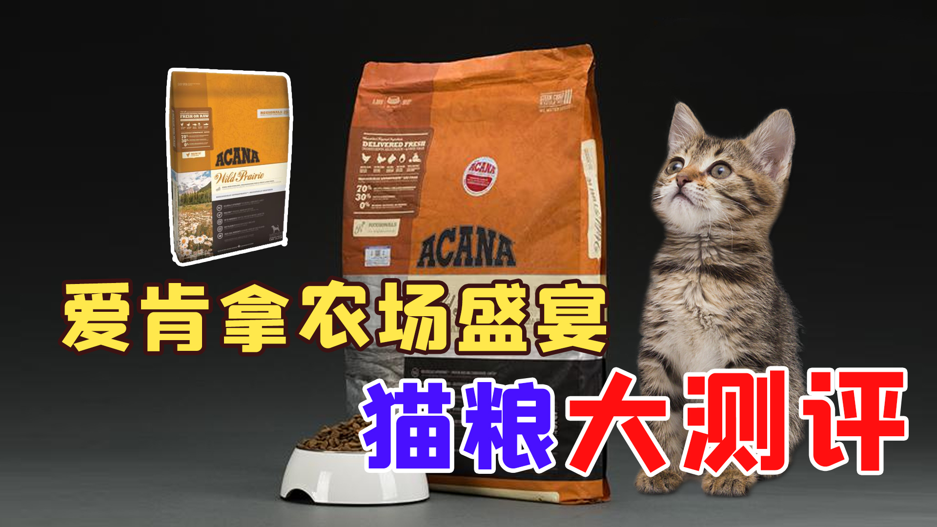 acana爱肯拿什么档次,幼猫猫粮推荐acana爱肯拿