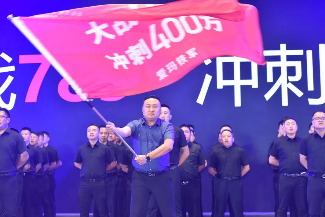 爱玛锂电车续航能力,爱玛48v锂电池车型