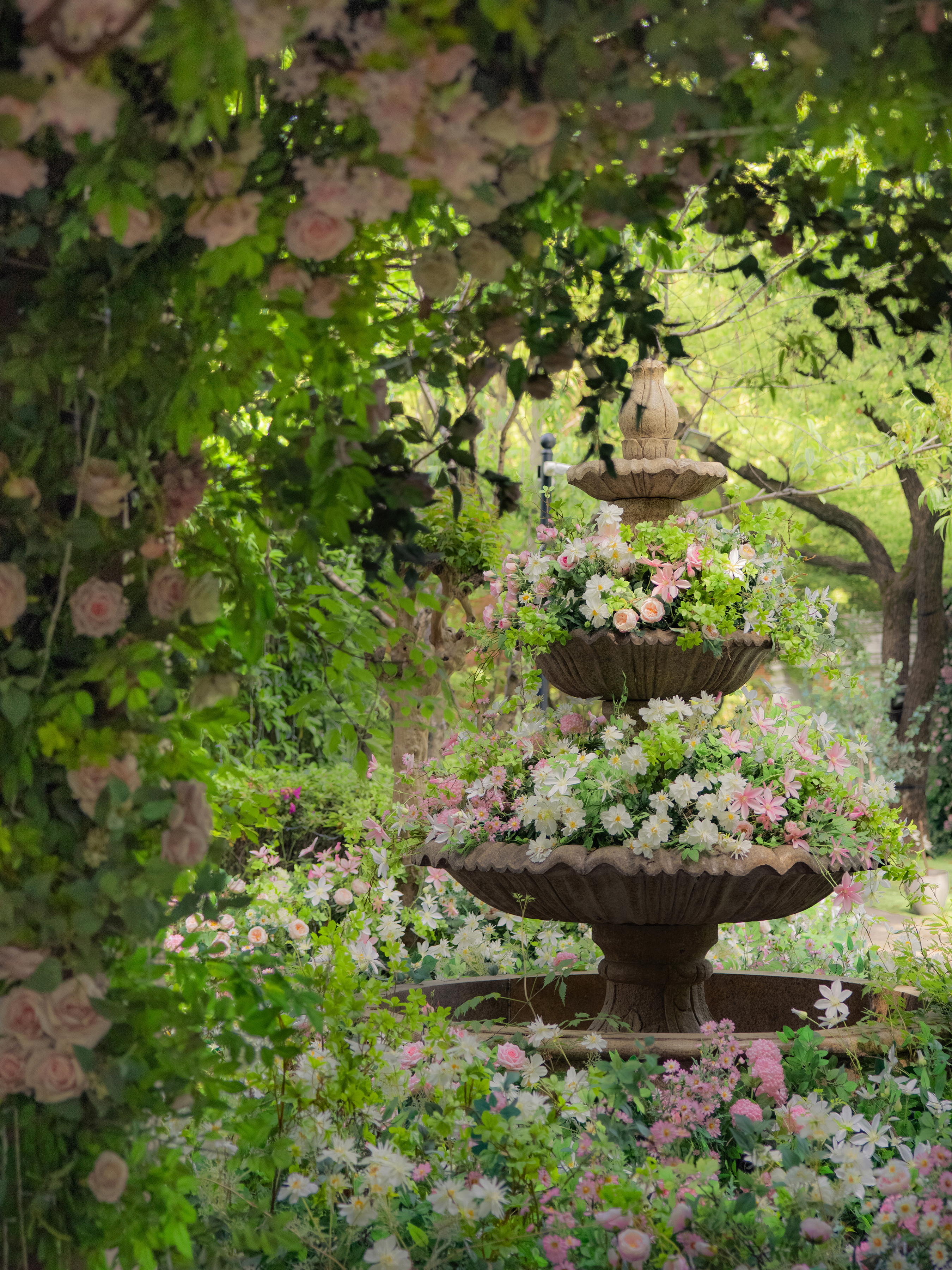 ipad治愈系壁纸超清动物,ipad壁纸唯美清新