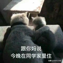 学着做一个男朋友文字壁纸,学着做一个男朋友