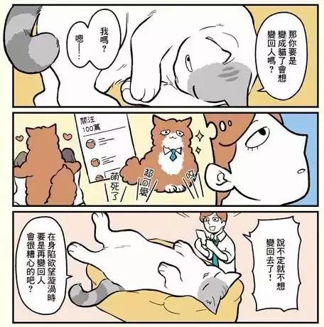 假如自己变成猫是什么体验,从人类变成猫是什么体验