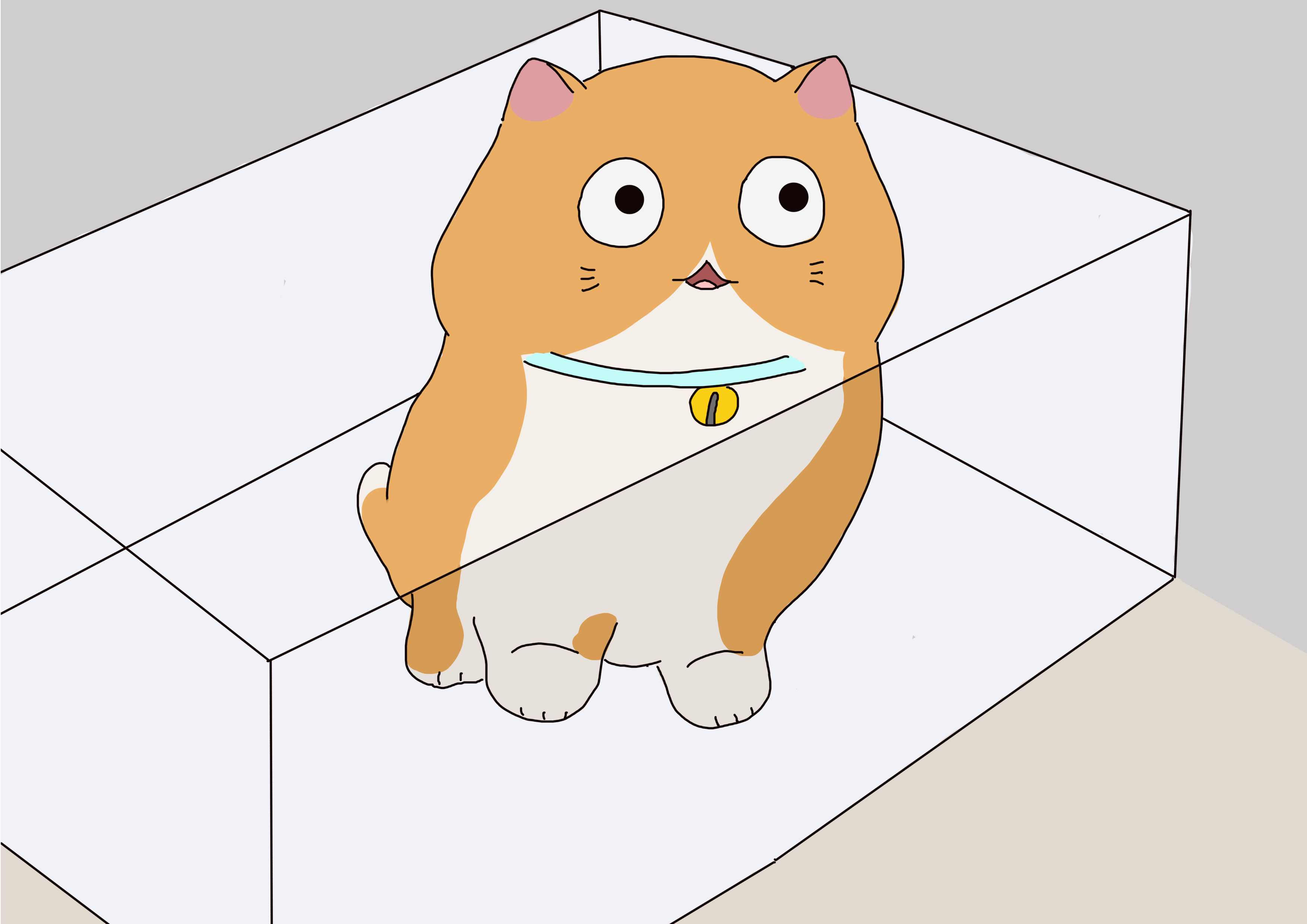 成年猫与幼猫的性格差异,幼猫多大能够很清楚的分辨矮脚