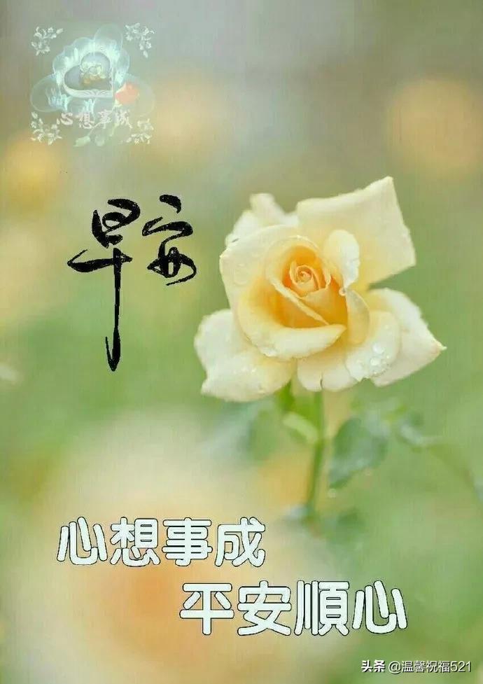 微信早上好最暖心祝福问候语图片,微信问候语大全早上好图片