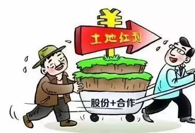 土地投资入股模式,土地入股如何算股份