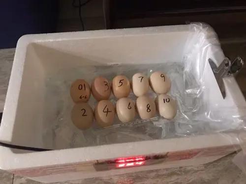 农村24个挣钱的事业，谁先做谁就是最先吃到螃蟹的人