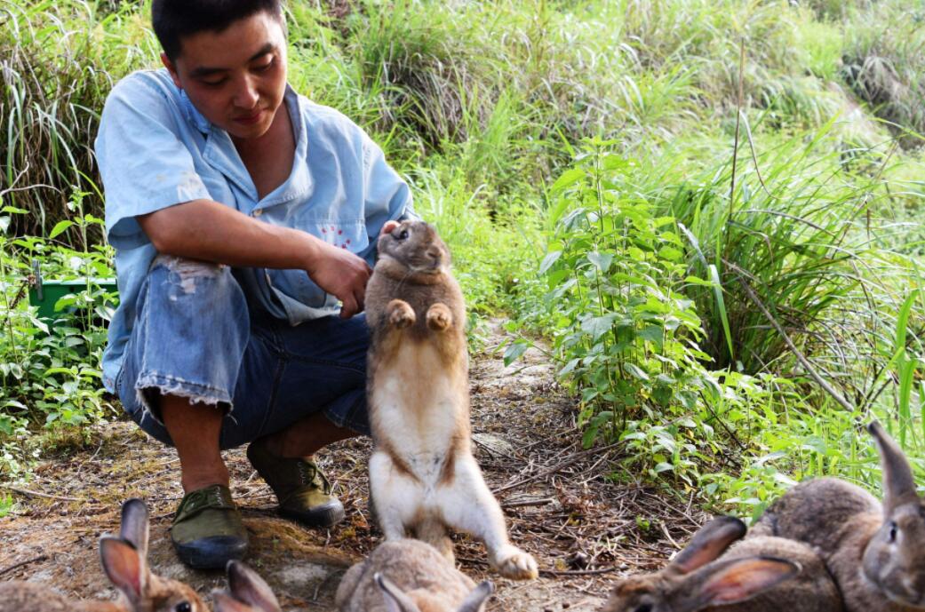 养殖农业为什么不赚钱,养殖为什么很少发财的