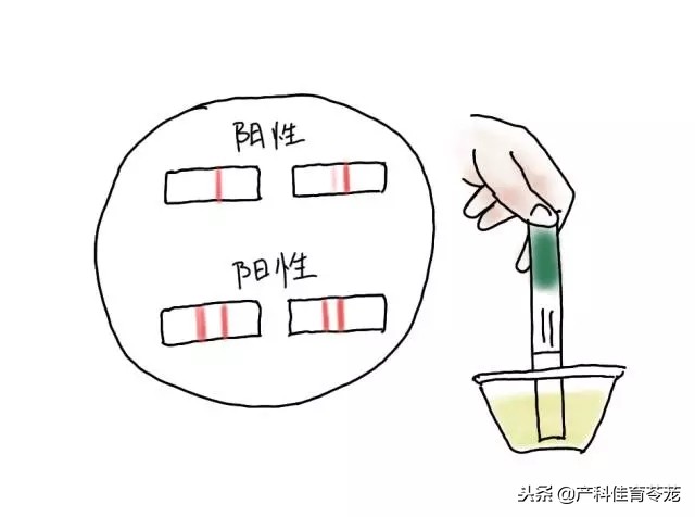 明明就是排卵期了为什么是弱阳,明明是排卵期却怎么也怀不上