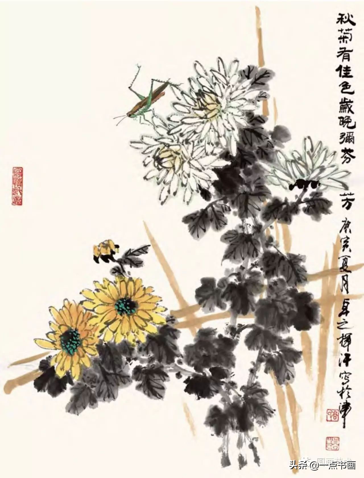 菊花画法教程简笔画,菊花拟人画法