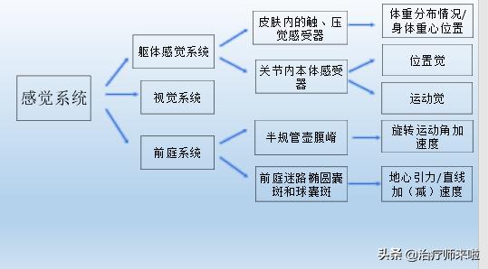 脑卒中患者的平衡训练分级几级,脑平衡障碍