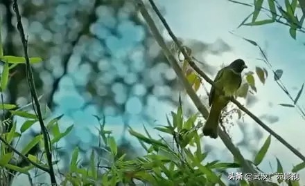 武汉吕祖洞在什么地方,吕洞宾云游四次的地方