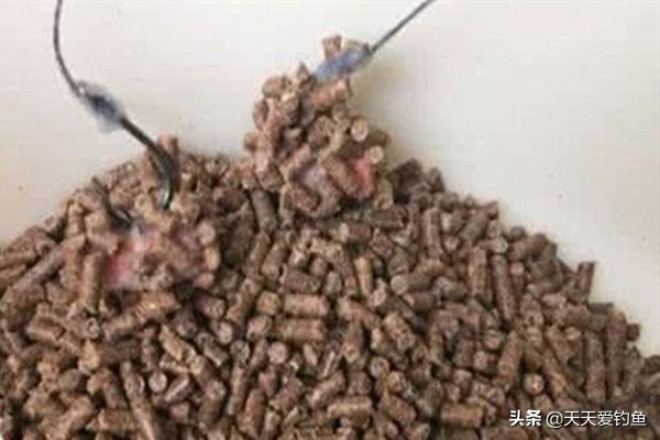 钓鱼颗粒的正确使用方法,钓鱼商品饵怎么拌好