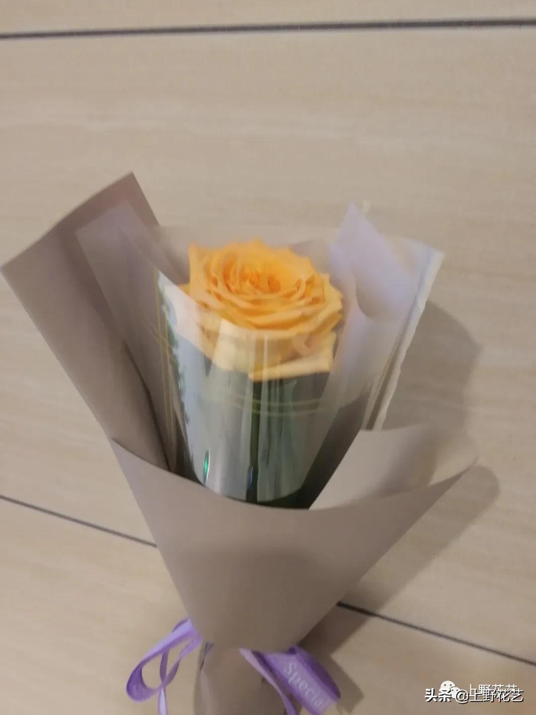 假日公主玫瑰花束,100种玫瑰之歌视频