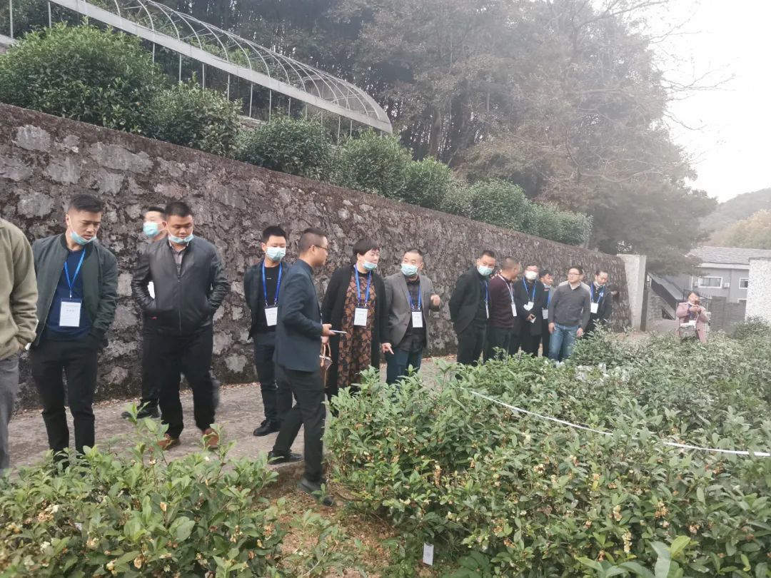 茶叶培训,湖北茶叶评茶师培训