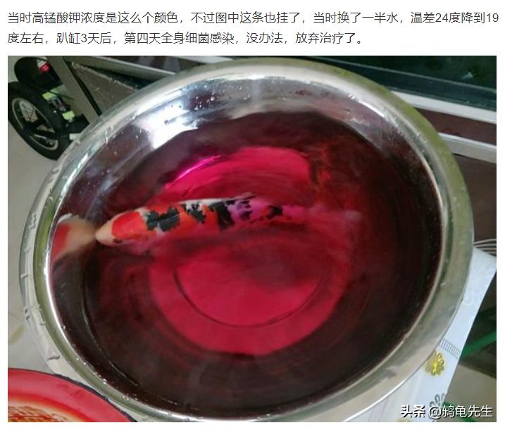 鱼缸进新鱼怎么杀菌消毒,新鱼缸养鱼应该注意什么