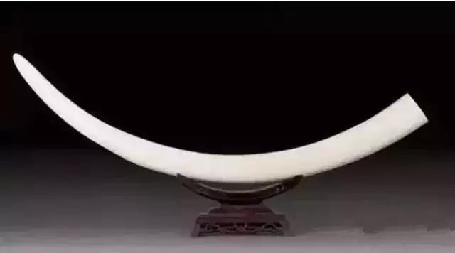 新手推荐的几种文玩,这九种文玩不能碰