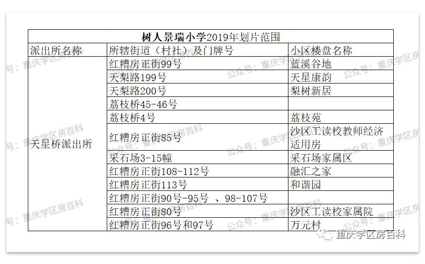树人小学有初中吗,树人小学总校在哪里