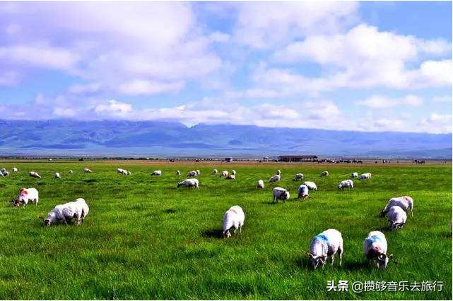 7月能去若尔盖,花湖若尔盖七月天气