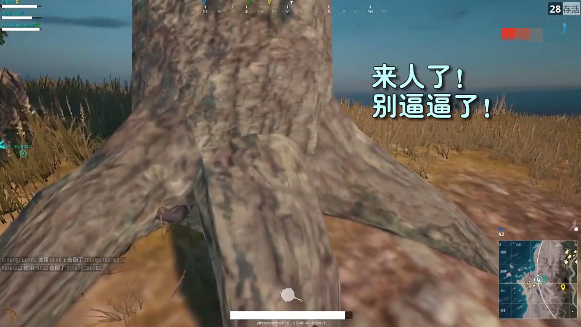 目前打击外挂最严厉的游戏,打击外挂最严重的游戏