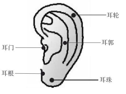 点痣需要注意面相吗,点痣风水学上哪些痣是好的