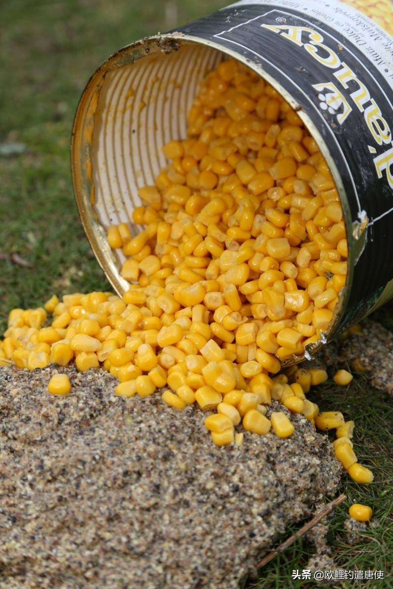 钓鱼拉饵多长时间调漂,钓鱼拉饵调漂的正确方法