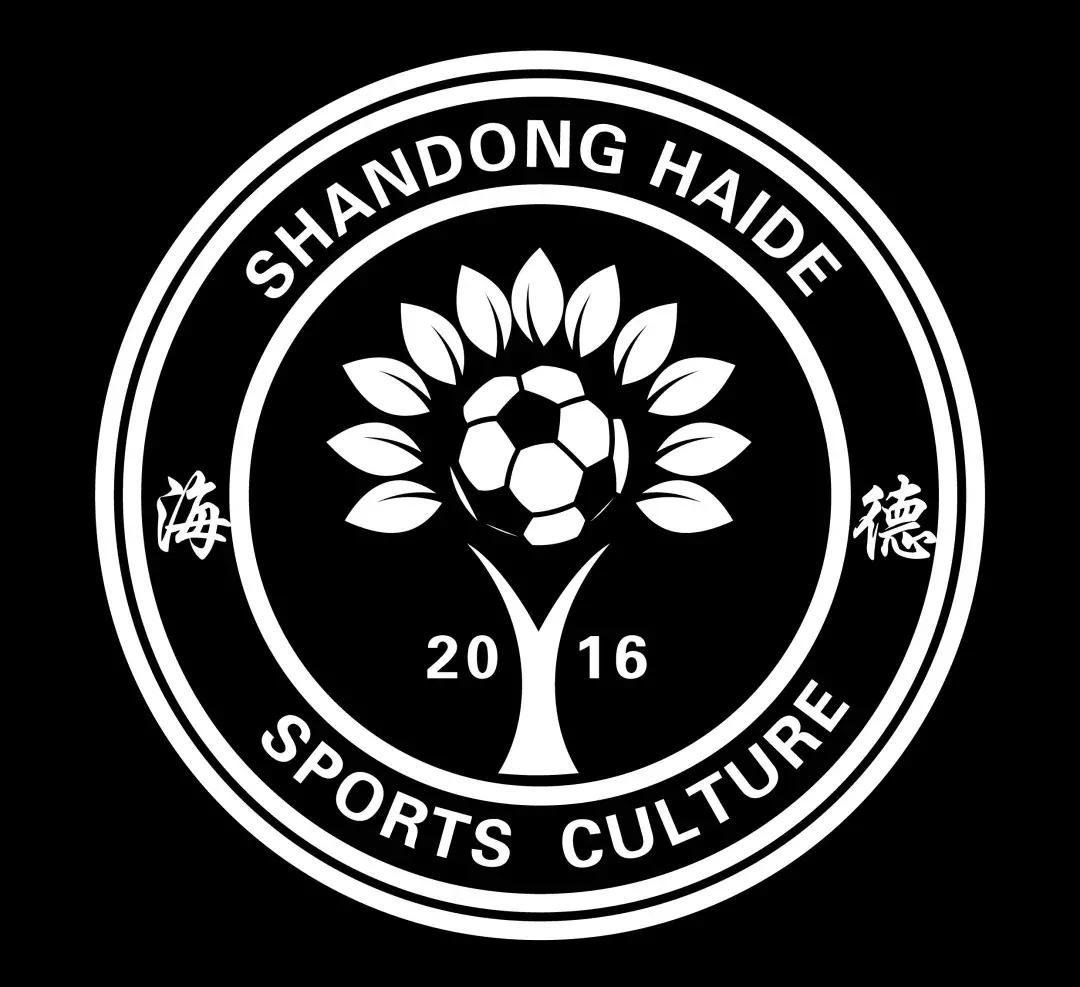福山足球小将,最强青少年足球小将