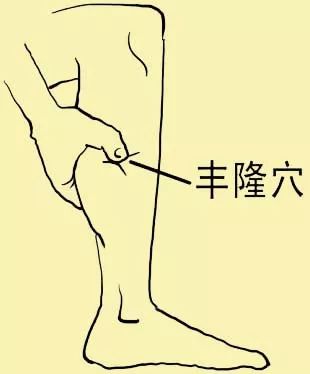 头发油是脾胃还是肝火怎么调理,吃油腻会胆经不通吗