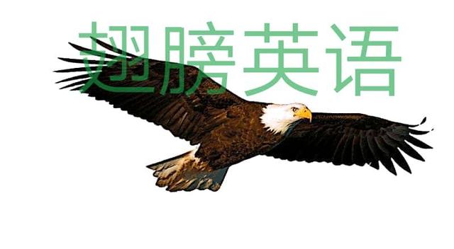 小学英语文章阅读理解模板,小学英语文章经典范文背诵语音
