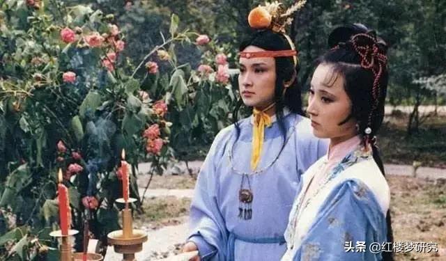 红楼梦盗梦空间,惊鸿一瞥的小说书摘