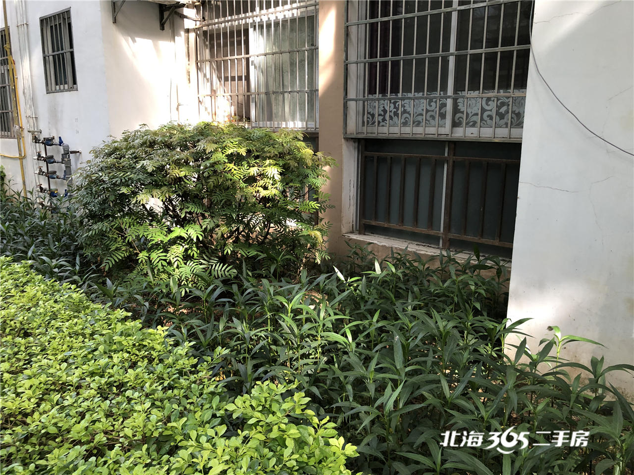 【北海二手楼盘测评】No.64——东峰锦绣城