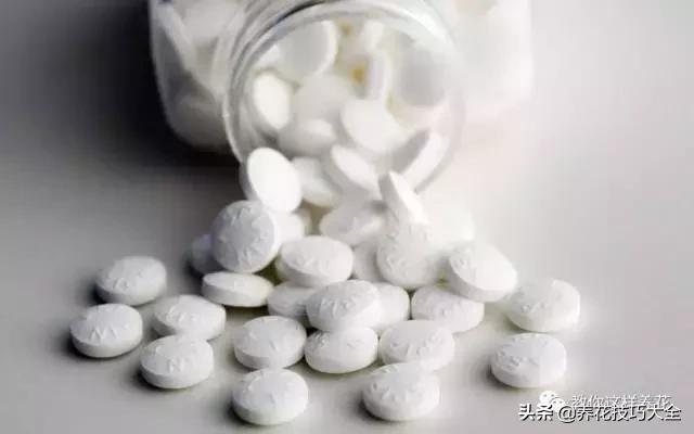 家里过期的小药片兑上水浇花,过期药扔花盆里花蔫了怎么办