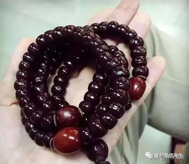 凤眼菩提盘玩讲解视频,凤眼菩提完全视频