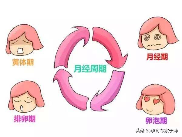青岛行家于萍简介,青岛于萍个人资料
