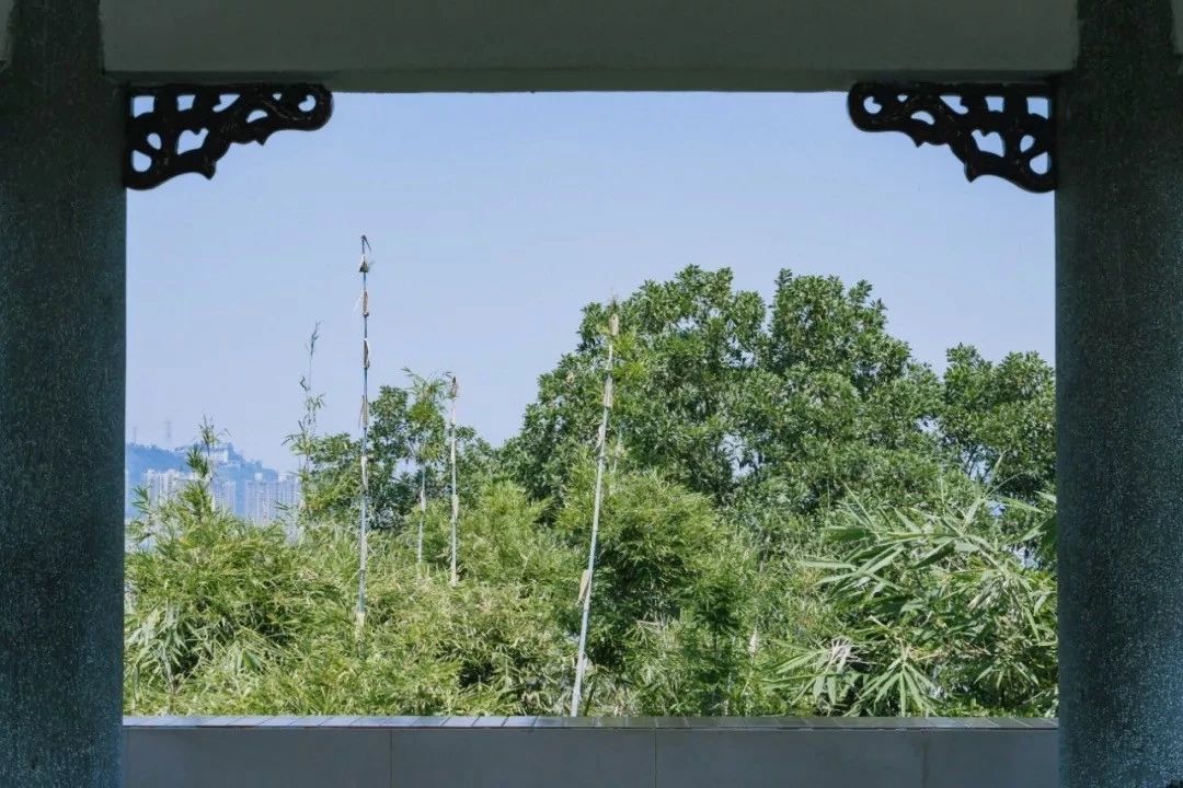 深圳游玩最佳地点排行榜前十名,深圳合适小孩游玩最佳地方推荐