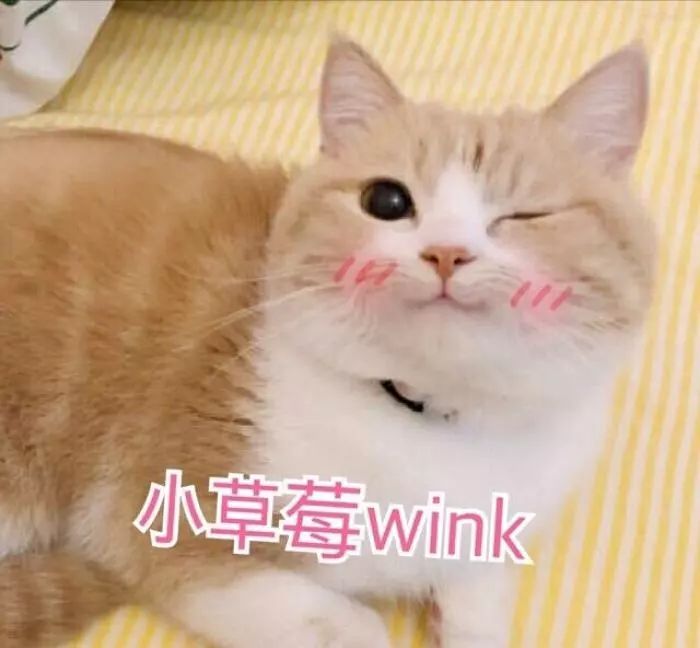 肖战与孟美岐不和？还是表情管理没到位！