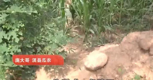农民西瓜被偷倒赔三百元家属退钱,瓜农西瓜被偷要倒赔小偷300元